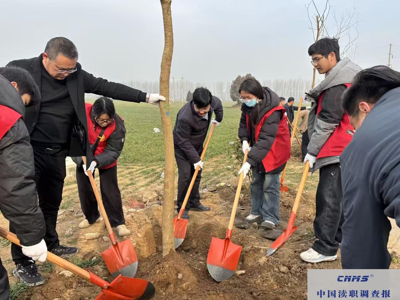 叶县洪庄杨镇：组织青年志愿者开展 义务植树活动(图2)