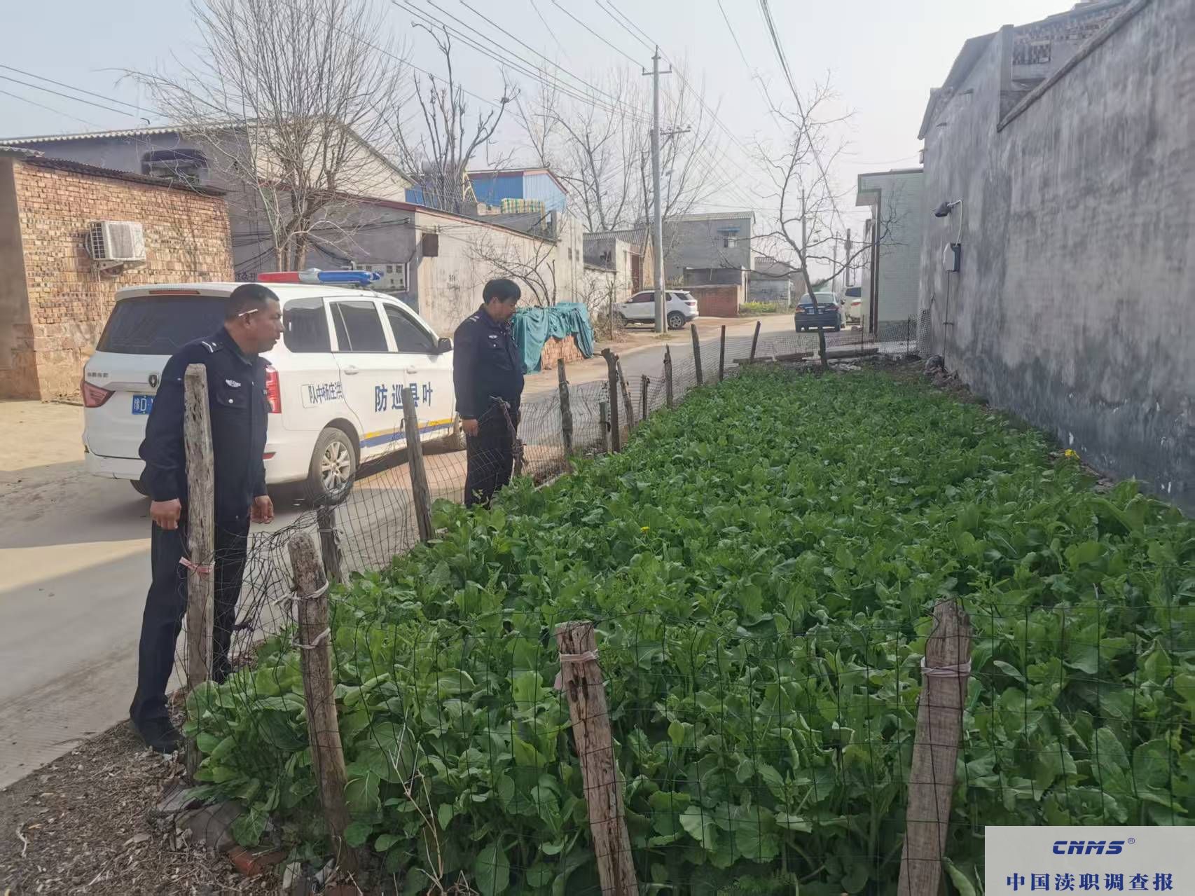 叶县 洪庄杨镇：踏查排查守净土，禁种铲毒正当时(图1)