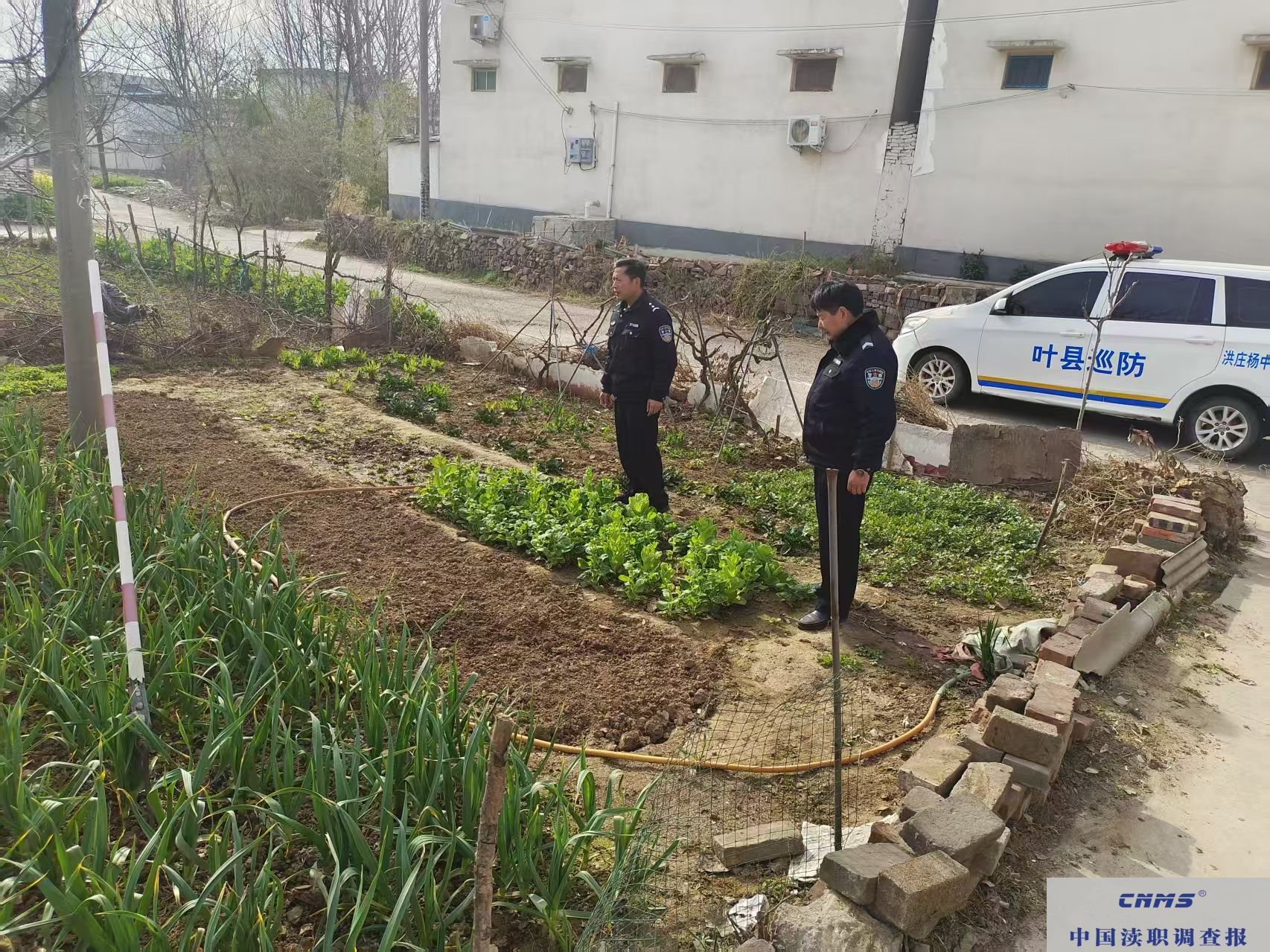  叶县 洪庄杨镇：踏查排查守净土，禁种铲毒正当时(图2)