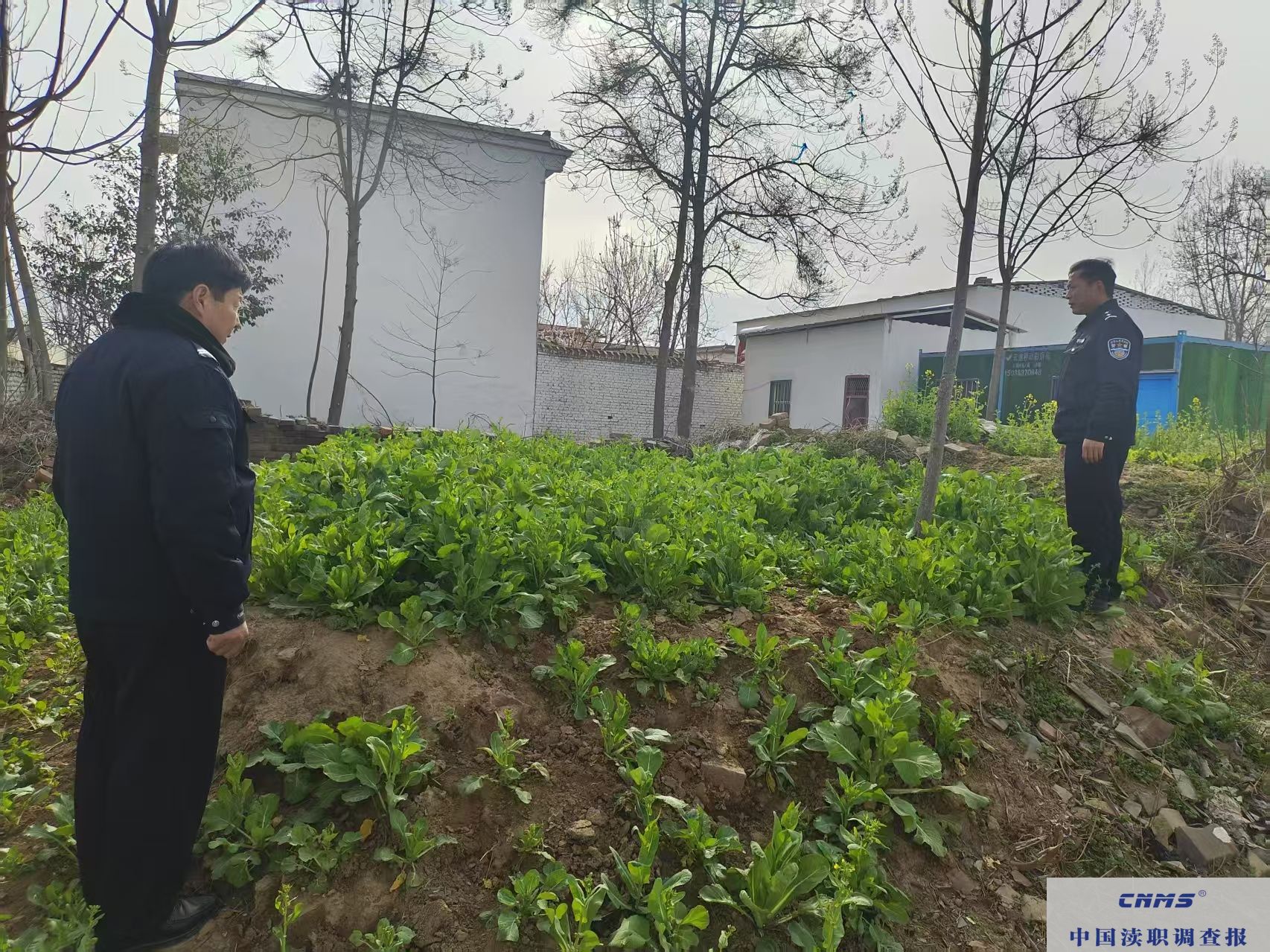  叶县 洪庄杨镇：踏查排查守净土，禁种铲毒正当时(图3)