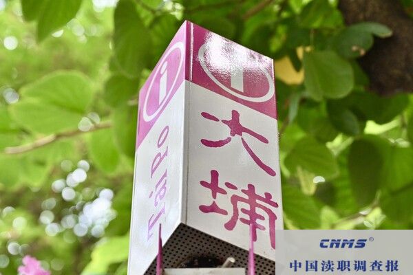 香港特区政府为四类人士增设特别补助(图2) 20251201223012036.jpg