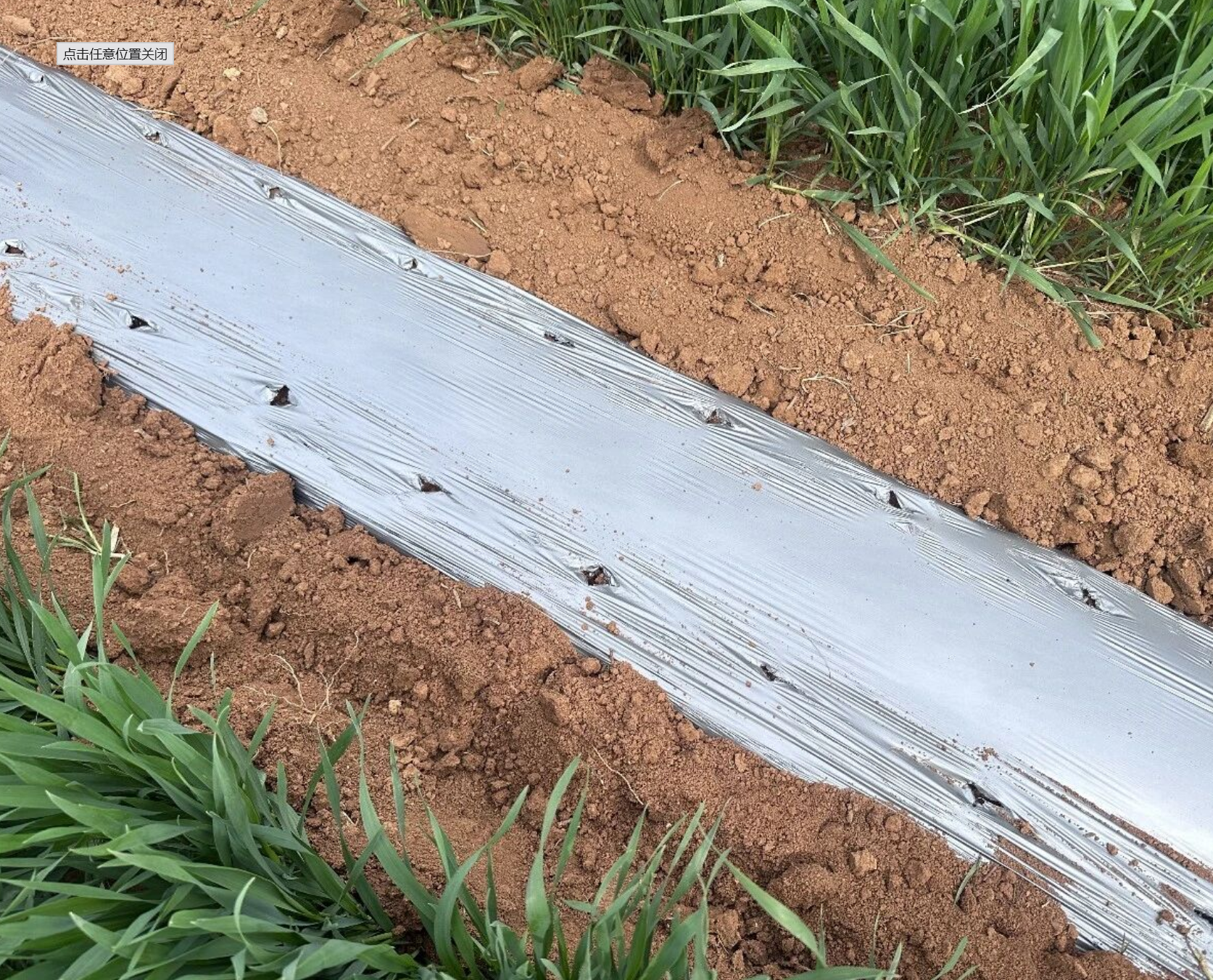 屏幕截图 2026-04-08 235233.png