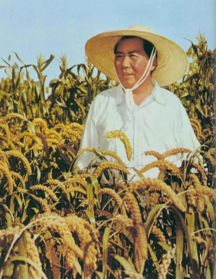 一起缅怀伟人!纪念毛主席逝世50周年(图14) 一起缅怀伟人!纪念毛主席逝世50周年(图14)