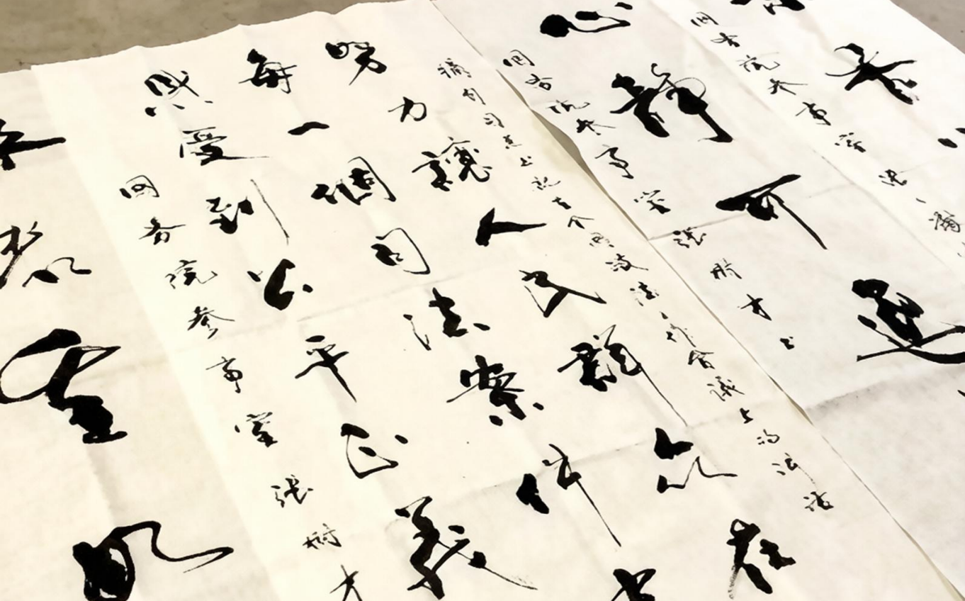 德心立身 家国为怀 —— 记国务院参事室高级研究员张树才 (图3) /uploads/user/41/allimg/20260704/41-260F4123511920.png